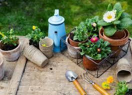 Gardening & Home Decor